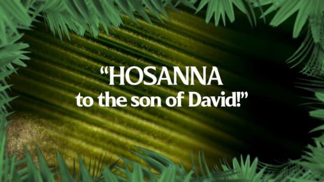 Blessed Is He Who Comes Palm Sunday Opener
