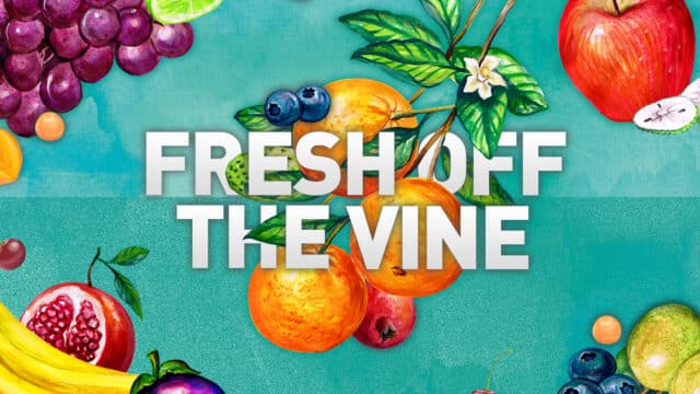 Fresh off the Vine