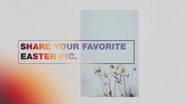 Share Your Easter Pic