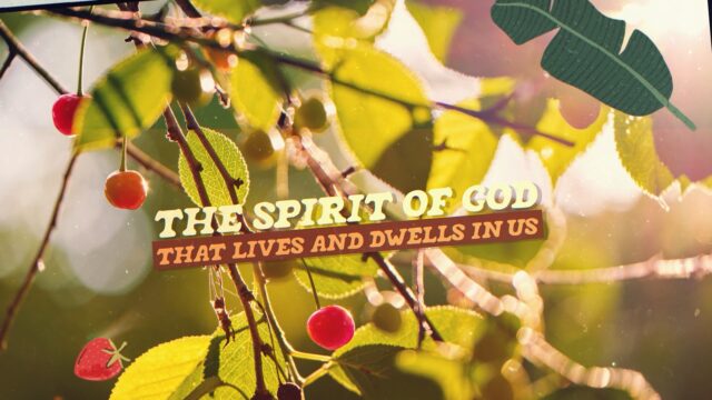 Fruit Of The Spirit – The Look of Love