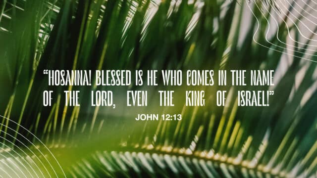 John 12