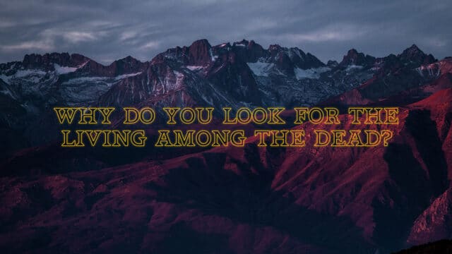 Look For The Living Among The Dead