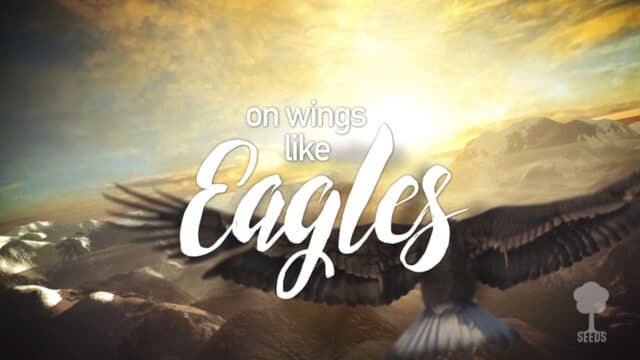 Soar Like Eagles