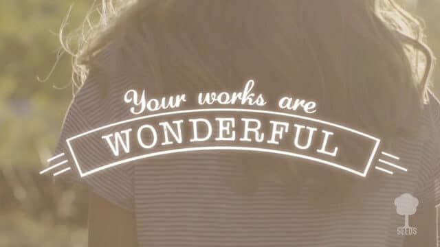 Wonderfully Made