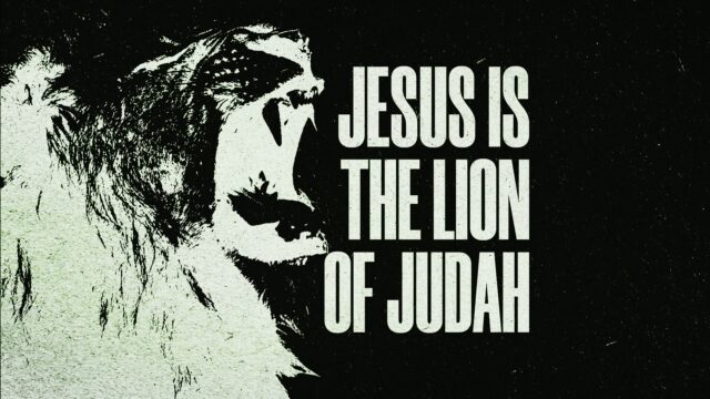 The Lion And The Lamb